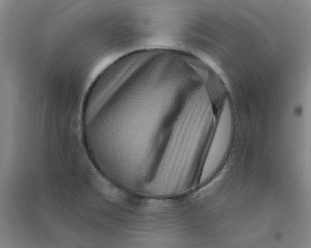 X0000090911469200708201730