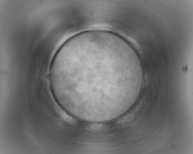 X0000090911470200708201730