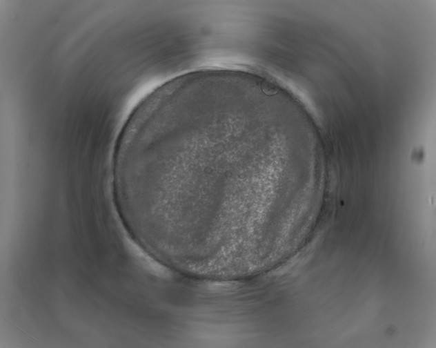 X0000090911471200708201729