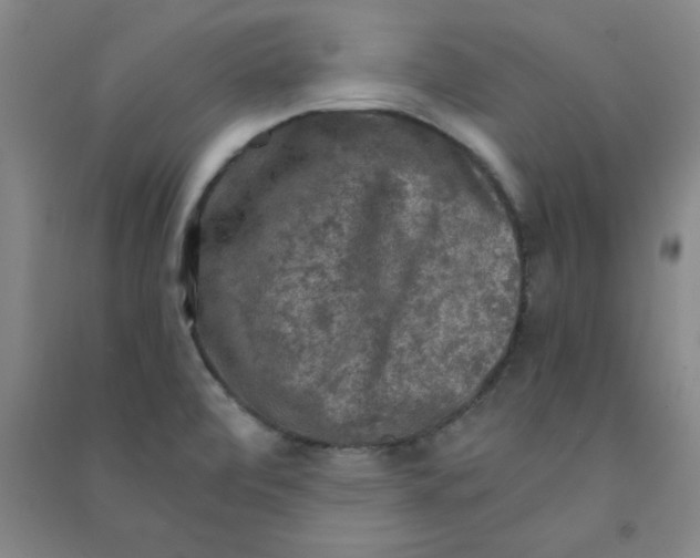 X0000090911472200708201729