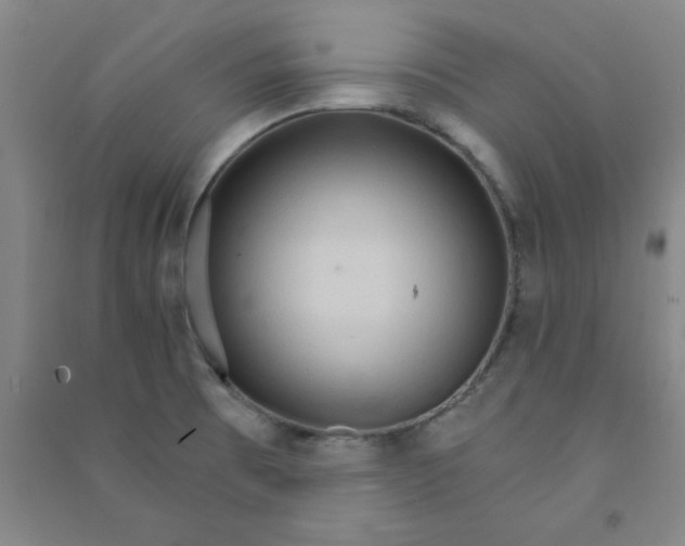 X0000090911473200708201729