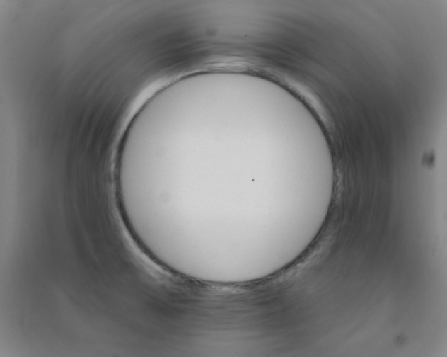 X0000090911475200708201729