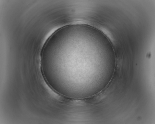 X0000090911476200708201729