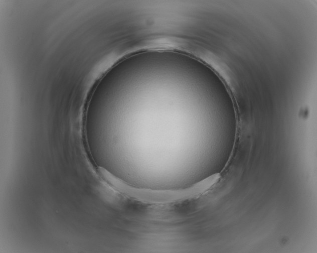 X0000090911477200708201729