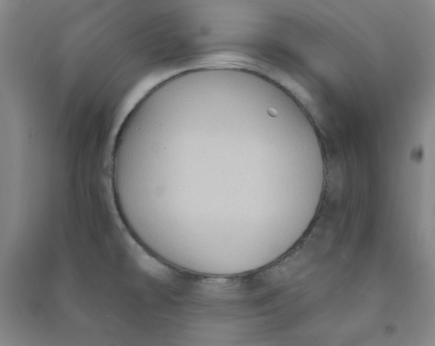 X0000090911478200708201729