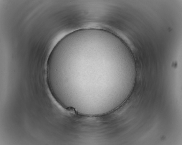 X0000090911479200708201729