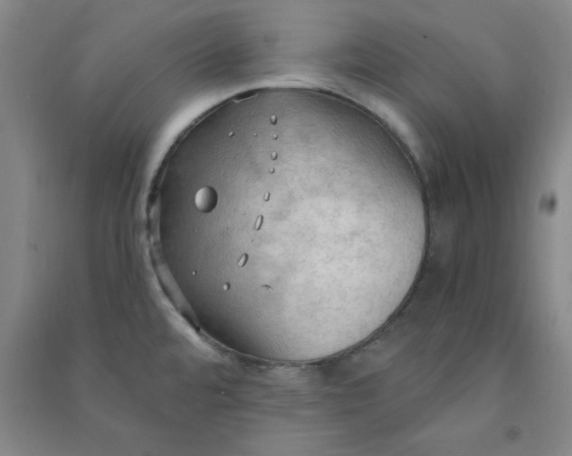 X0000090911480200708201729