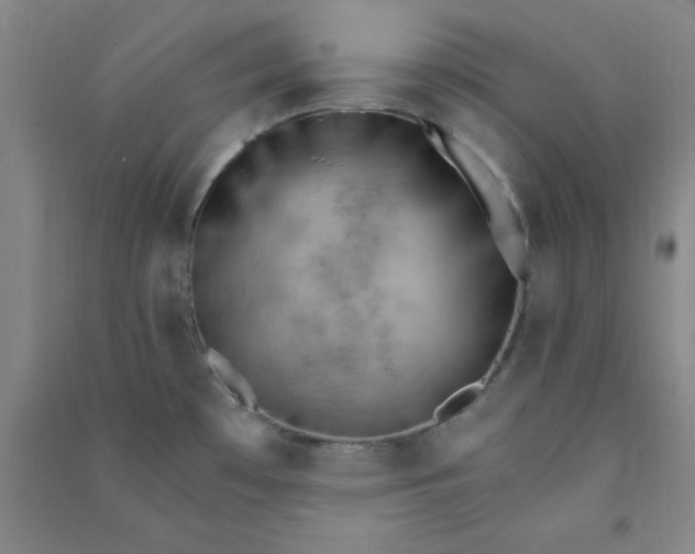 X0000090911481200708201729