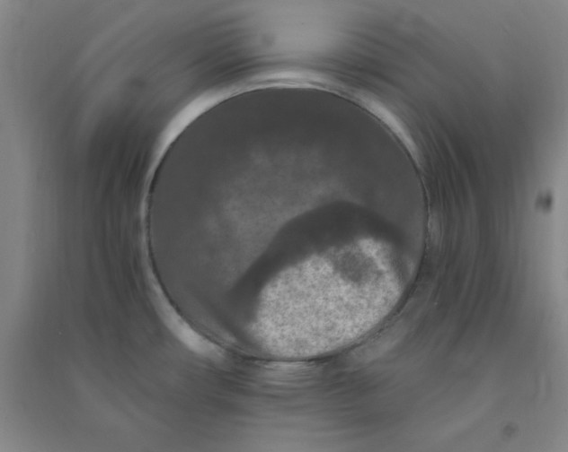 X0000090911482200708201729