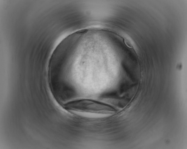 X0000090911483200708201729