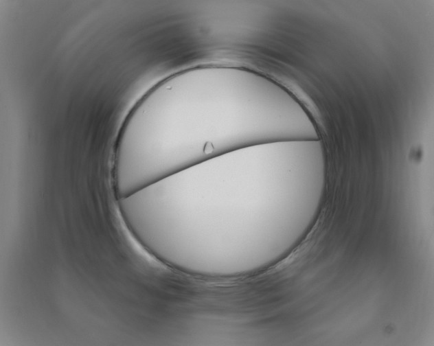 X0000090911484200708201729