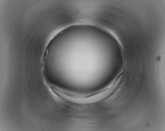 X0000090911485200708201729