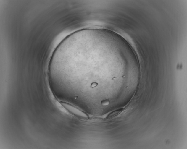 X0000090911488200708201729