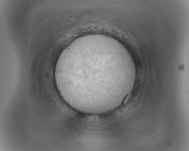 X0000090911489200708201728