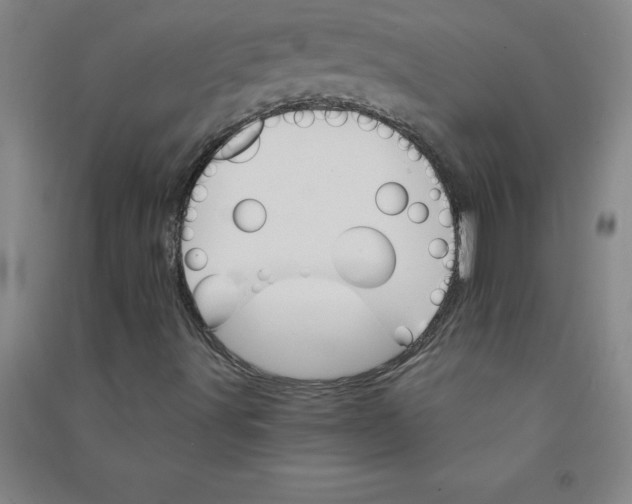 X0000090911491200708201729