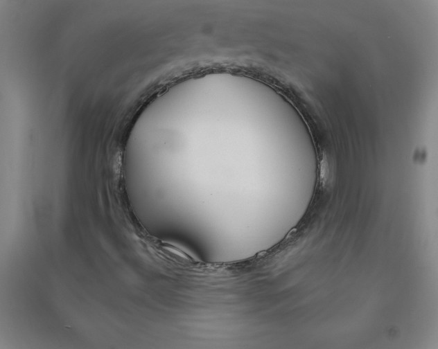 X0000090911492200708201729