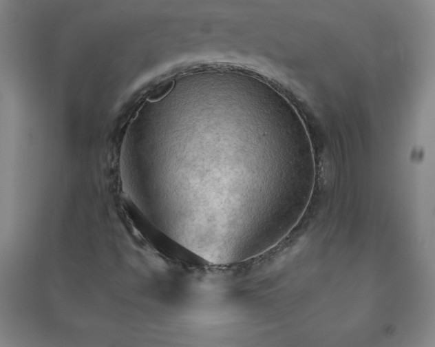 X0000090911494200708201729