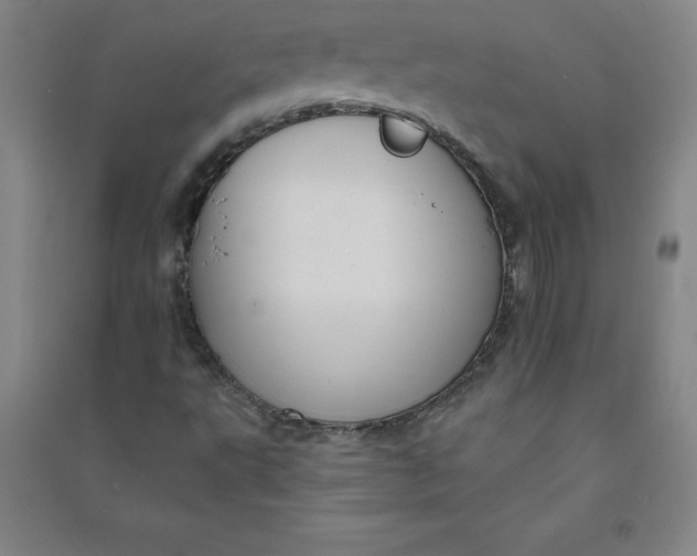 X0000090911495200708201729