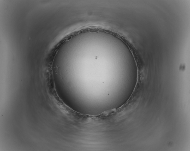 X0000090911496200708201729