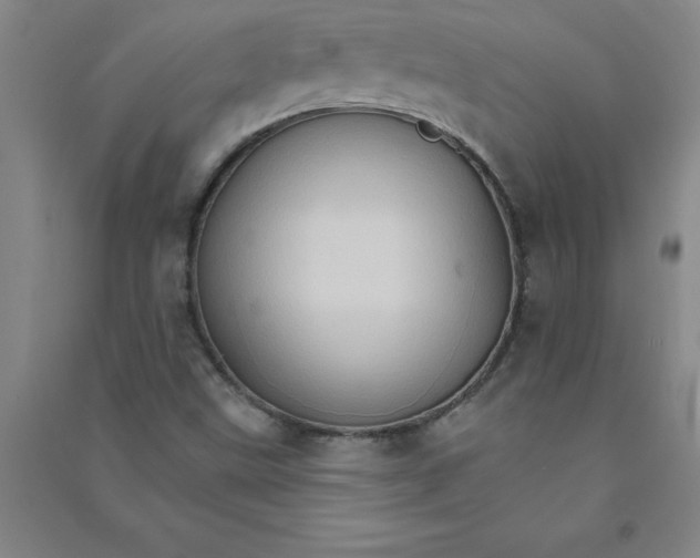 X0000090911499200708201729