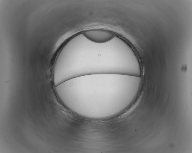 X0000090911501200708201729