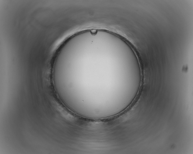 X0000090911502200708201729