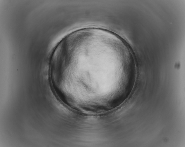 X0000090911504200708201729