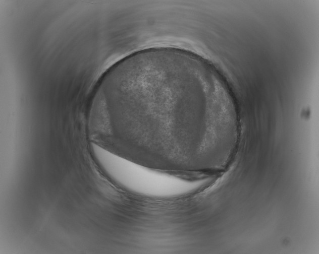 X0000090911505200708201729