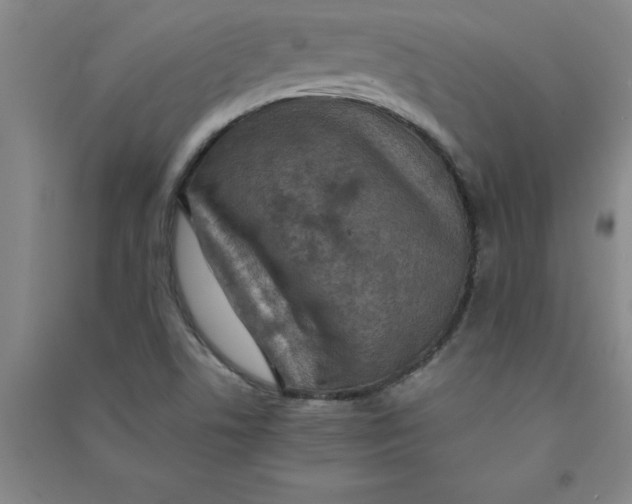 X0000090911506200708201729