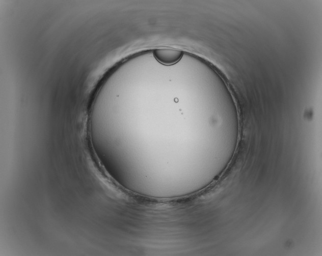 X0000090911507200708201729