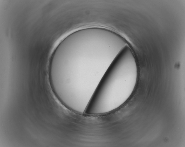 X0000090911508200708201729