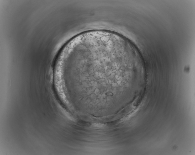 X0000090911509200708201729