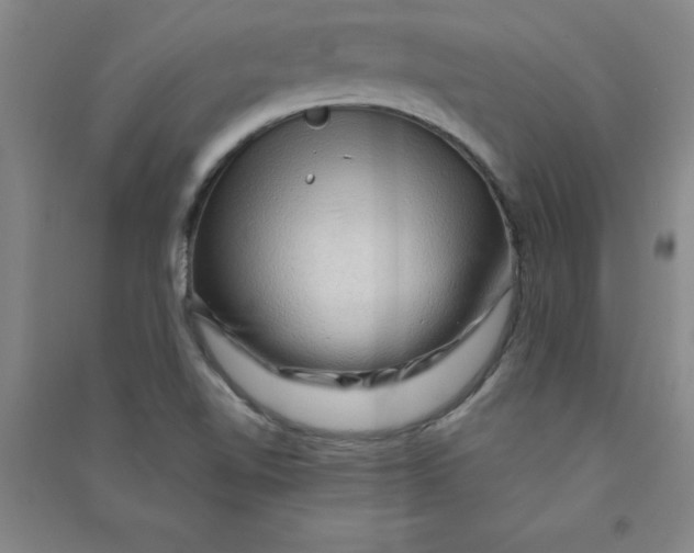 X0000090911510200708201729