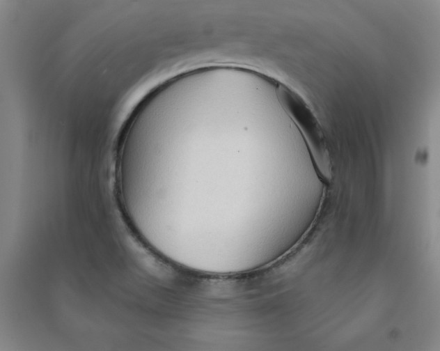 X0000090911511200708201729