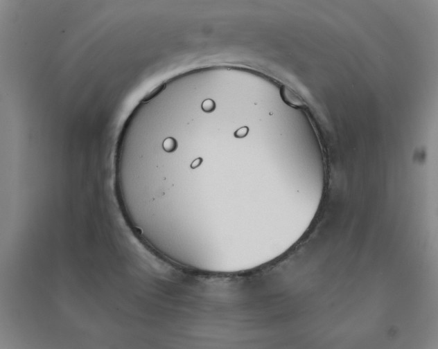 X0000090911512200708201729