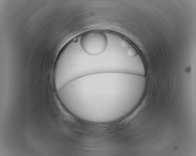 X0000090911513200708201729