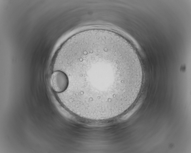 X0000090911514200708201729