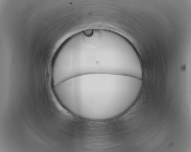 X0000090911515200708201729