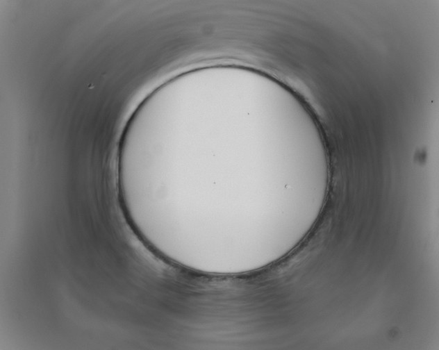 X0000090911516200708201729