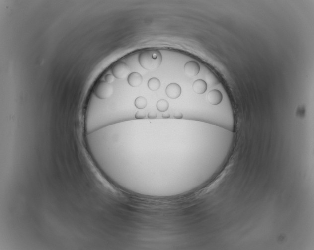 X0000090911517200708201729