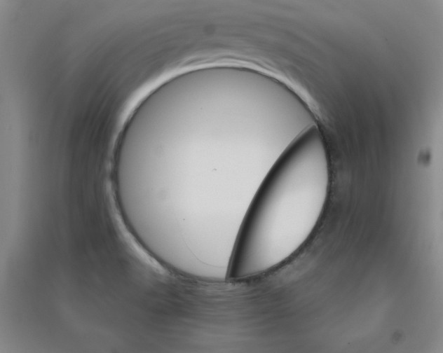 X0000090911518200708201729