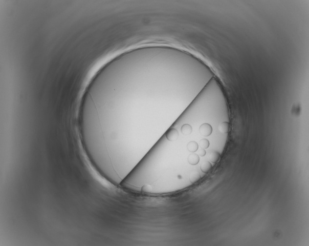 X0000090911519200708201729