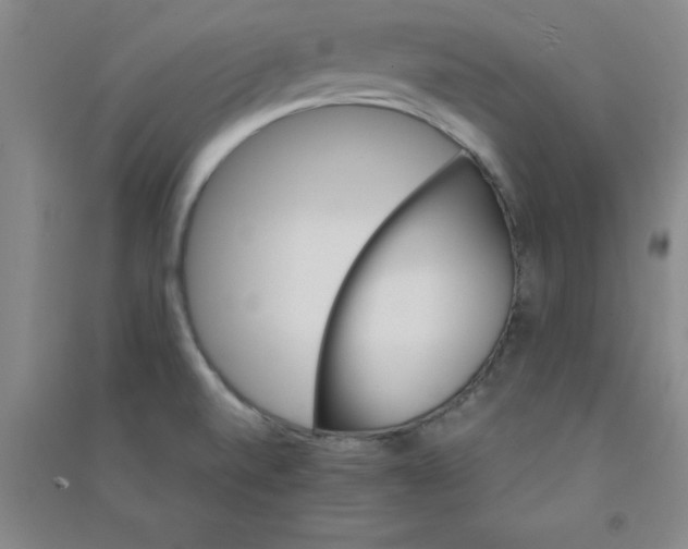 X0000090911520200708201729