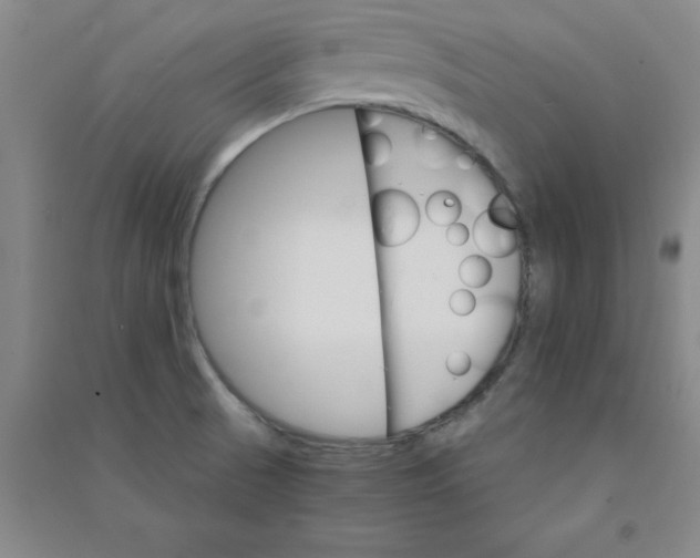 X0000090911521200708201729