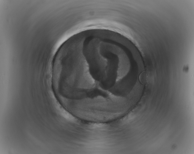 X0000090911522200708201729