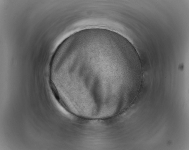 X0000090911523200708201729