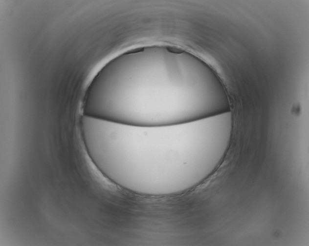 X0000090911524200708201729