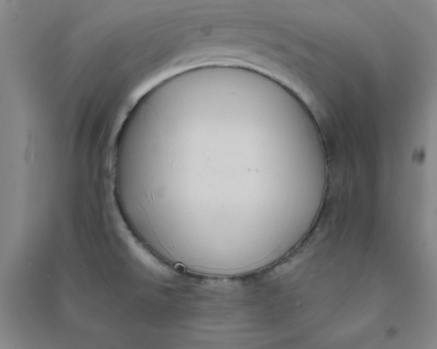 X0000090911526200708201729