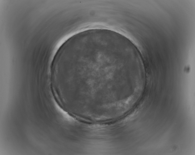 X0000090911527200708201729