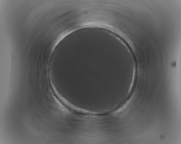 X0000090911529200708201729